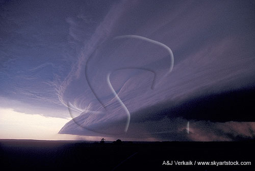 Wedge cloud from plow wind with wind shift boundary