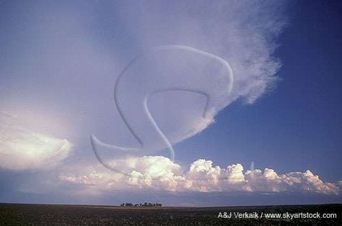 Storm environment cloud features: outflow boundary and anvil