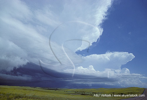 Squall line cloud features