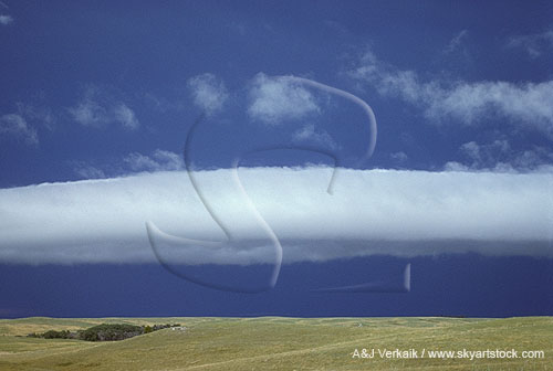 A ghostly, smooth roll cloud against deep gray storm
