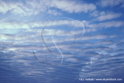 Gentle cloud billows in an abstract cloud texture shot