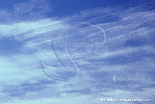 Soft, quiet abstract of cloud streaks in the sky