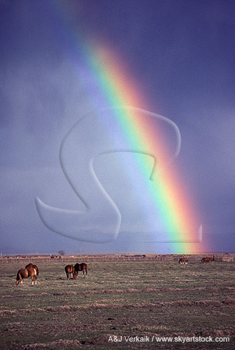 A rainbow brings hope to a desolate landscape