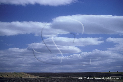 Clouds and topography: high-based lenticular Stratocumulus
