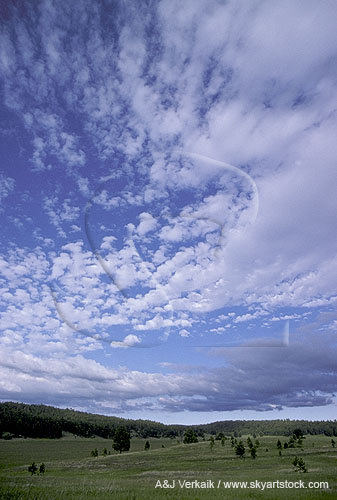 Scattered woolly clouds in a rolling landscape