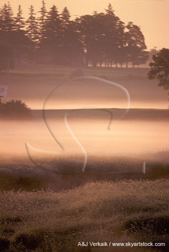 Sheen of early morning light on fog