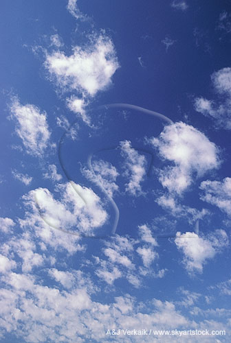 A happy sky with dancing puffy clouds