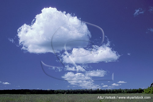 Cloud types, Cu: Why clouds form where they do, a line of Cumulus