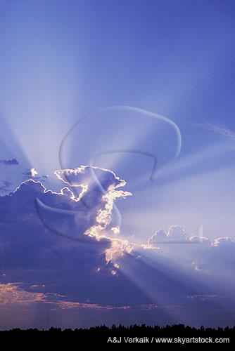 Crepuscular rays (rays of God) fan out above a cloud