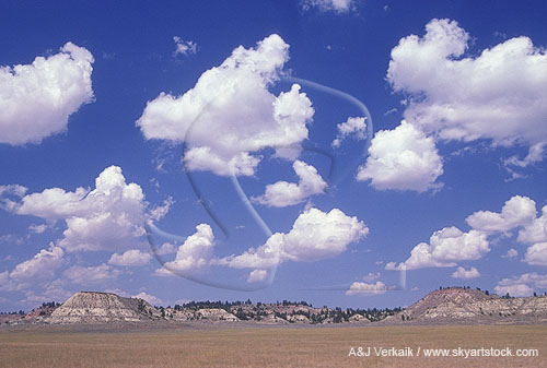 Cloud types, Cu: Cumulus in thermals due to strong daytime heating