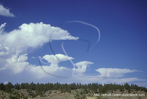 A collection of turkey towers, odd clouds with small anvils