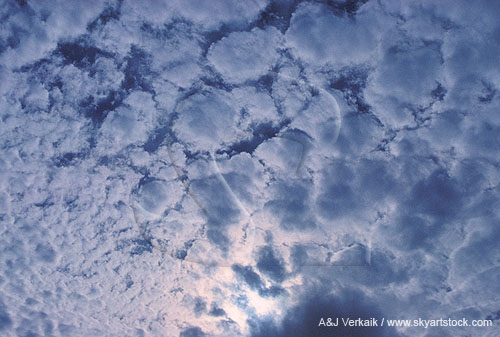 Clotted cloud texture abstract.