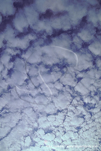 Woolly clouds with clotted texture