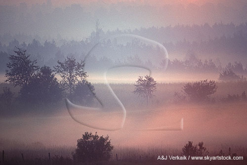 Fog adds enchantment to a mysterious landscape at dawn