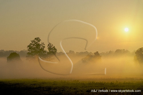 A blanket of fog drenched in golden sunlight at dawn