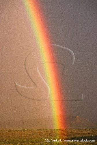 Brilliant arc of rainbow, close up.