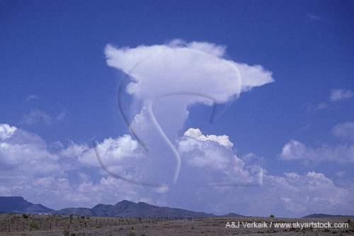 Anvils are accessory clouds formed as part of convective cloud
