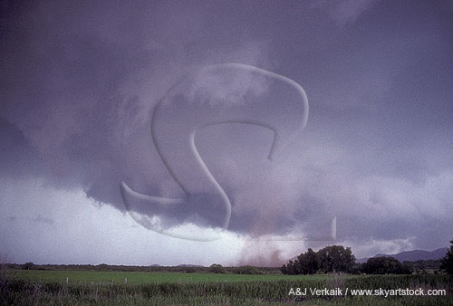 Dust cloud under a storm, a false indicator of a tornado