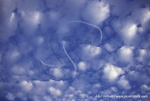 Cloud texture abstract with clouds like cotton puffs