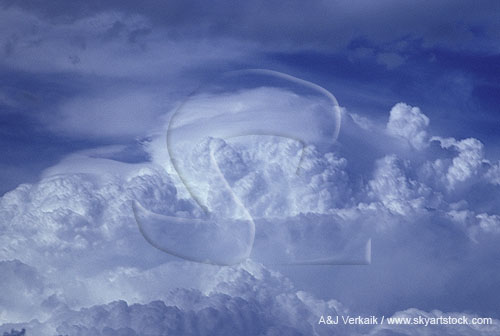 Pileus makes for magical beauty atop a storm cloud