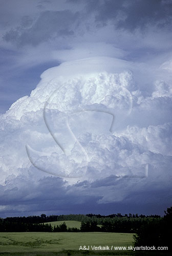 A boiling cloud dome in a pastoral landscape