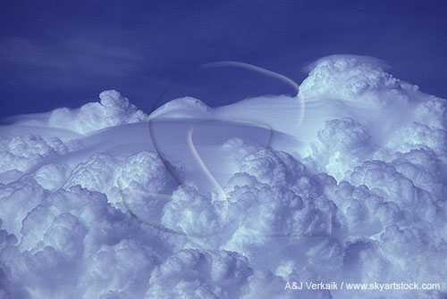 Pileus at three different heights over separate convective towers