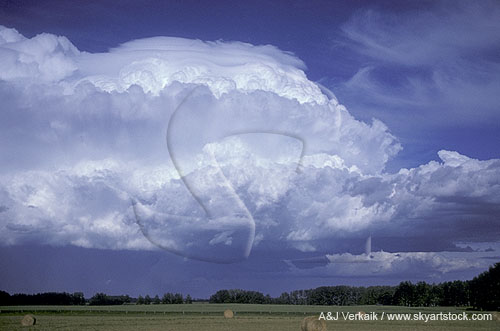 Storm cloud features overview: Velum on a storm’s crown