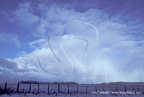 Lake-effect snow showers from mostly unfrozen Cumulus Congestus