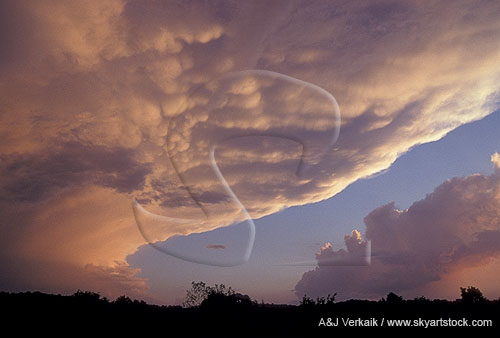 Storm cloud anvil evolution, with Mammatus from subsidence