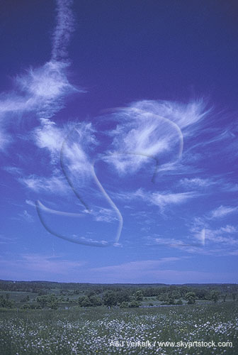 Flight of Carefree Clouds in a dark blue sky