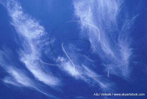 Spritzy cloud wisps dance  in a blue sky