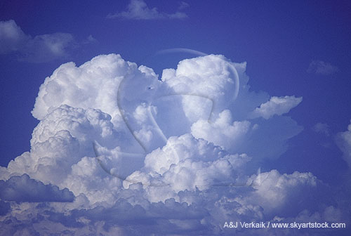 Billowing clouds with cauliflower cloud tops