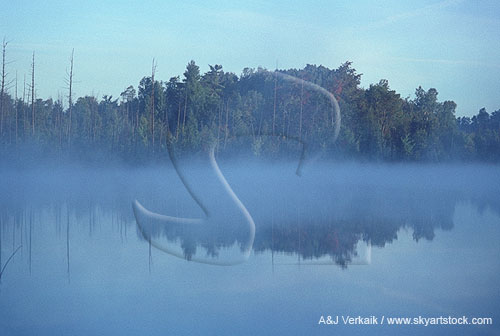 Thin fog and mist on a lake with reflections