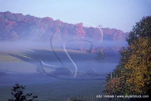 A river valley, where fog forms or persists