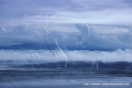 Ocean shoreline with cloud bank and advection fog (Stratus clouds)