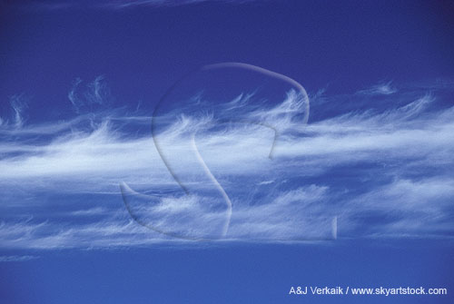 Very small fallstreak hooks trail ice crystals into white strips of Cirrus 