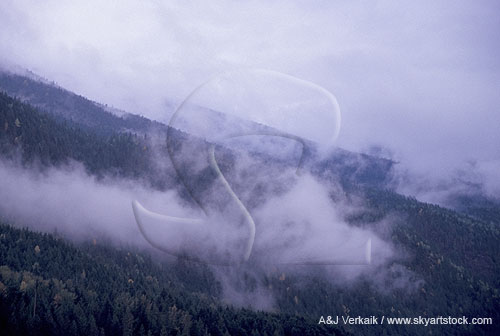 Stratus Fractus cloud type rising up a mountain slope