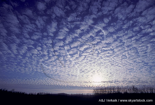 A wafer-thin sheet of Altocumulus clouds with a uniform pattern