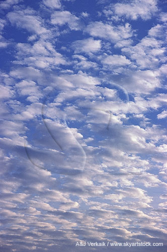 Soft clouds floating free in a changing cloudscape