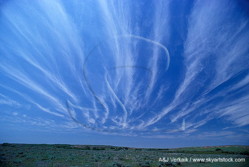 Thin Cirrus cloud bands are mostly parallel but appear to converge 