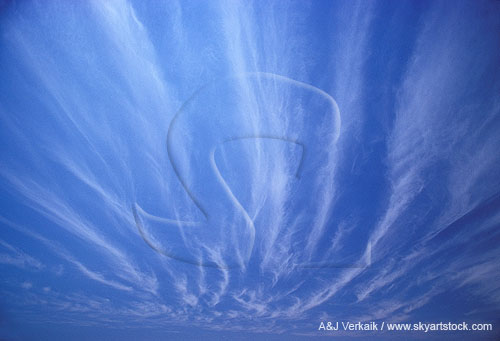 Long whimsical wisps of cloud fan out across the sky