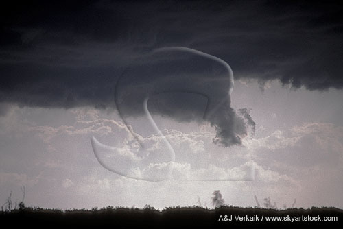 A dry microburst, as seen by dust, mimics a tornado