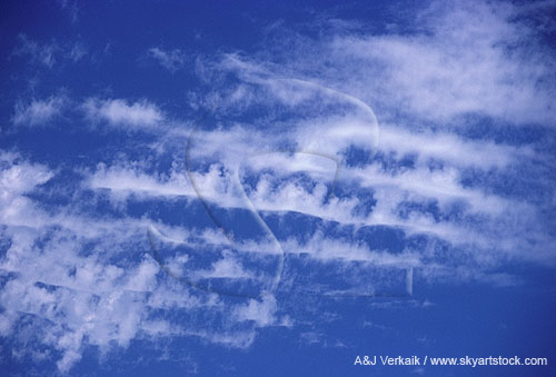 Transformation of a high Altocumulus cloud patch