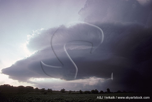 Cloud shapes and air motion: cloud looks like a spaceship