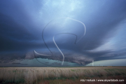 Developing MCS from a supercell with a long history of hail