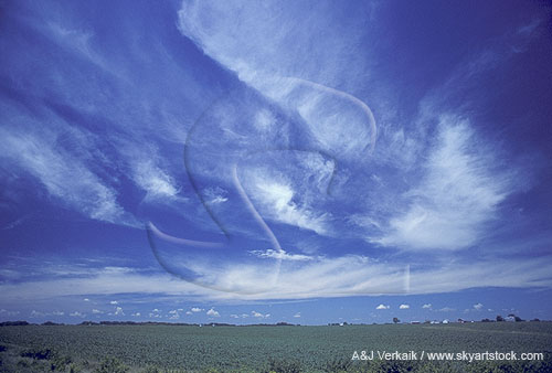 Cloud type, Ci: Cirrus patches and streaks