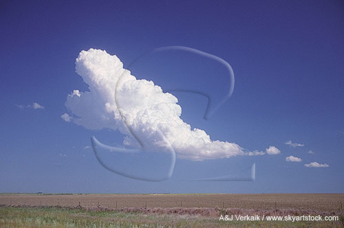 Buoyancy of cloud due to thermal and updraft