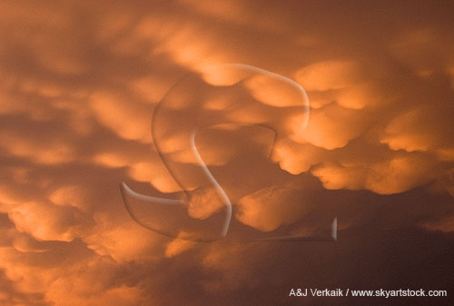 Bands of Mammatus clouds catch sunlight from a low