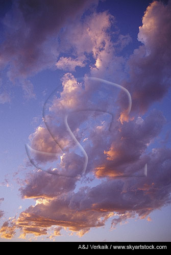 Abstract cloudscape of delicate cloud tips tinged with bronze