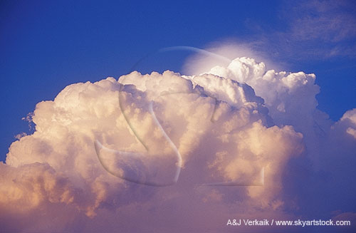 A dense Pileus cap cloud above the rolling tops of a storm